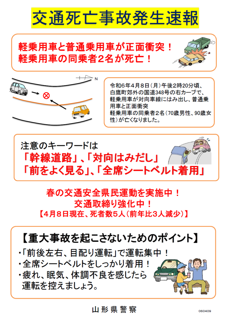 Amazon.com: 行政・刑事・民事上の自動車事故責任のとり方とらせ